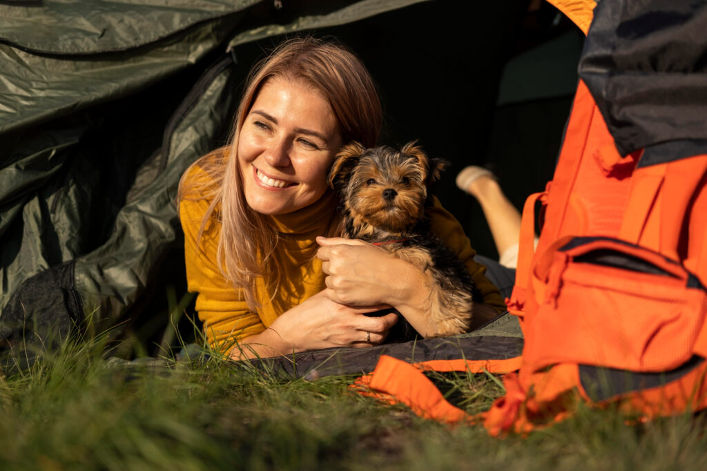 Planning a Road Trip with Your Dog